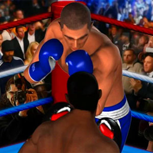 Ultimate Boxing